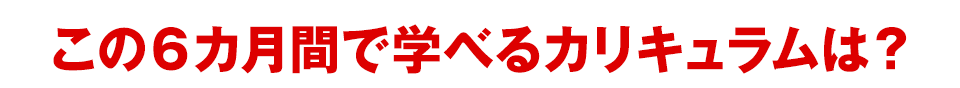 この６カ月間で学べるカリキュラムは？